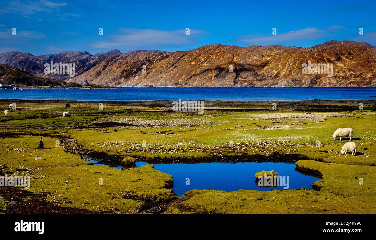 Vue sur le Loch Ailort, les hauts plateaux d'Écosse Banque D'Images