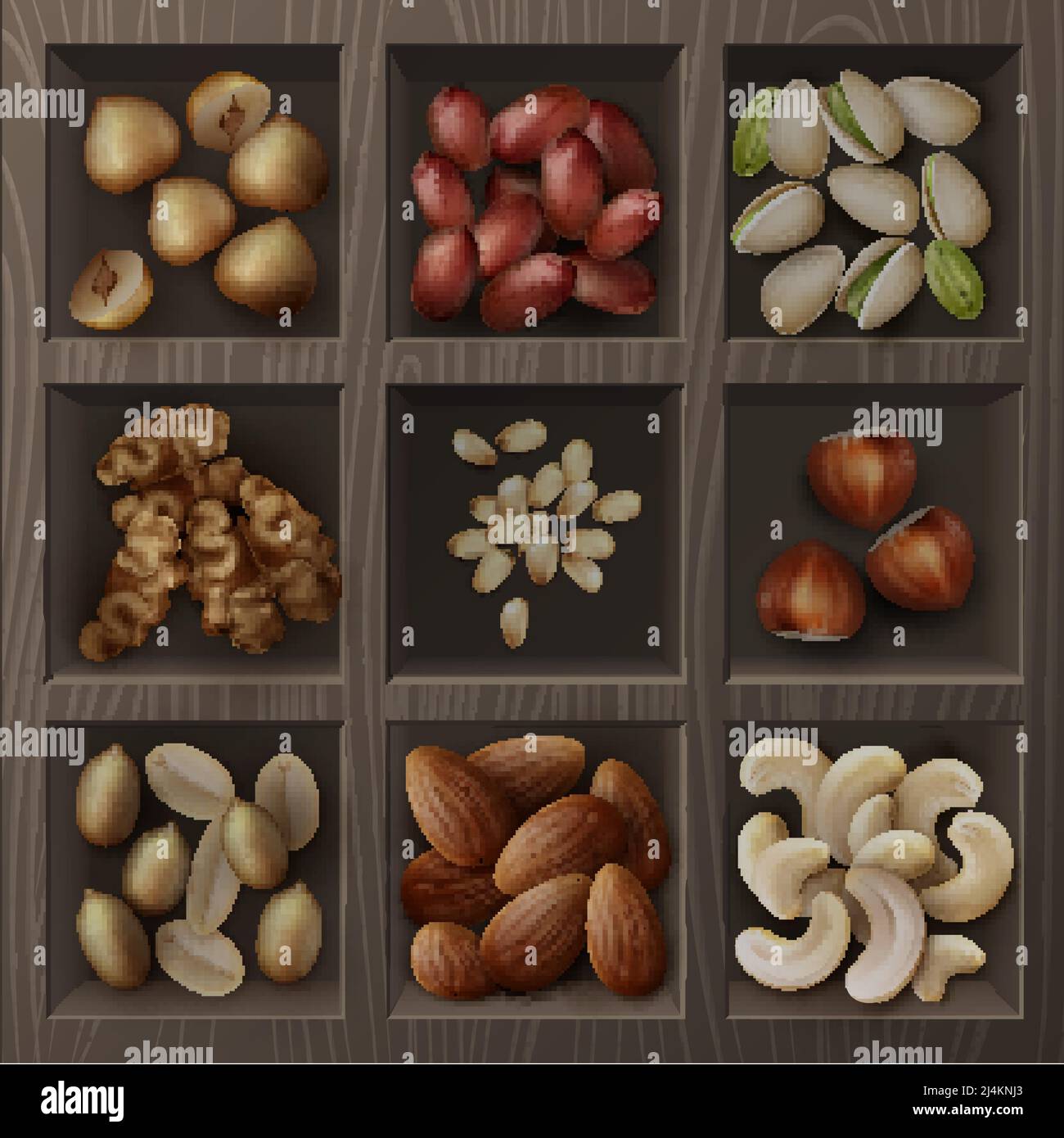 Ensemble vectoriel de différentes noix noisettes, pistaches, arachides, noix de cajou, cèdre et noix de Grenoble vue de dessus dans une boîte en bois Illustration de Vecteur