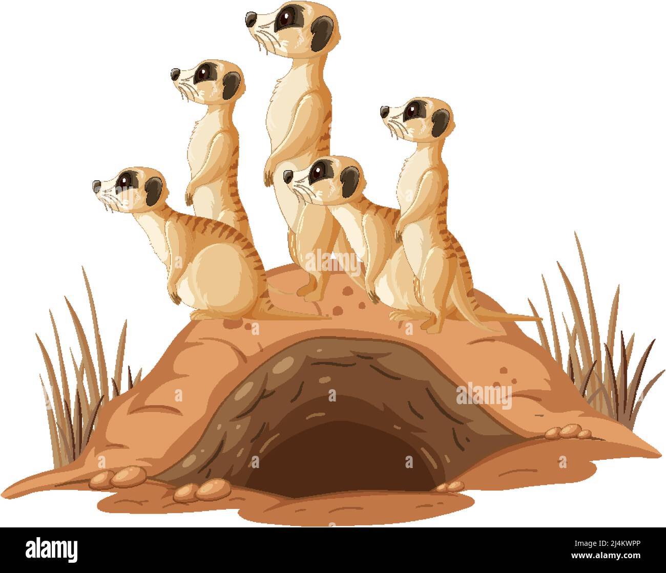 Groupe de meerkats avec le terrier dans l'illustration de style de dessin animé Illustration de Vecteur