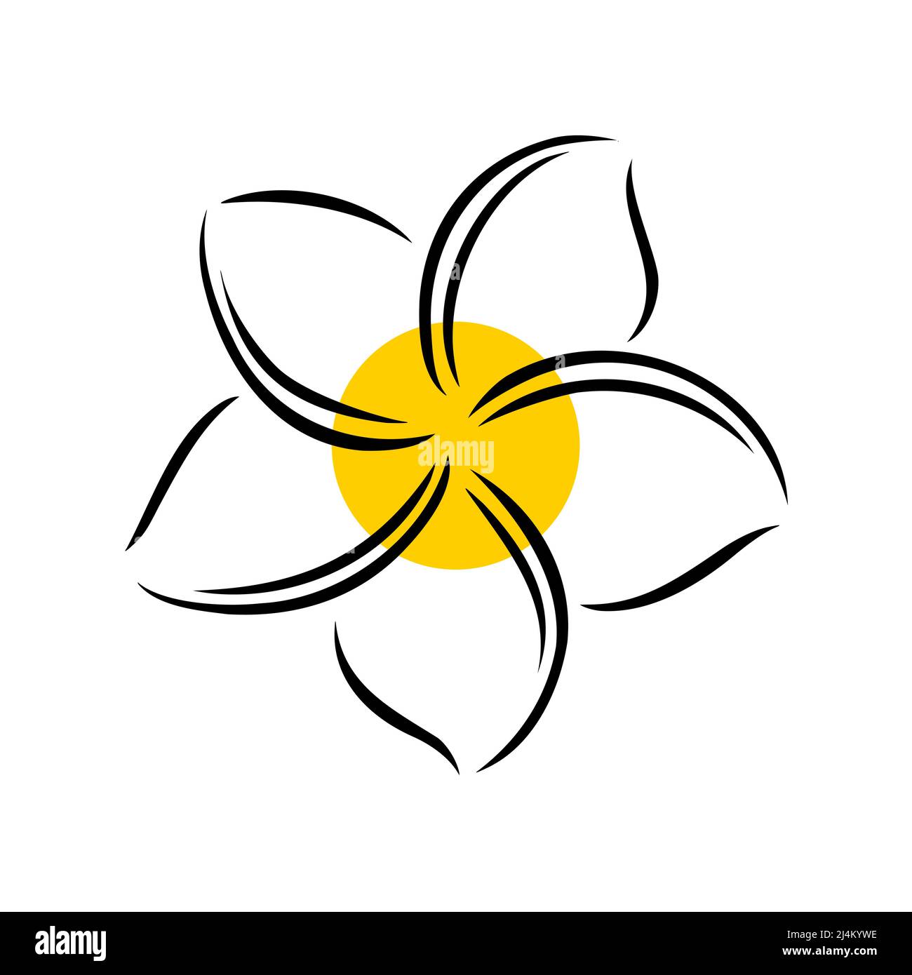 Frangipani ou plumeria fleurs exotiques d'été.Frangipani gravé isolé sur fond blanc.Illustration vectorielle Illustration de Vecteur