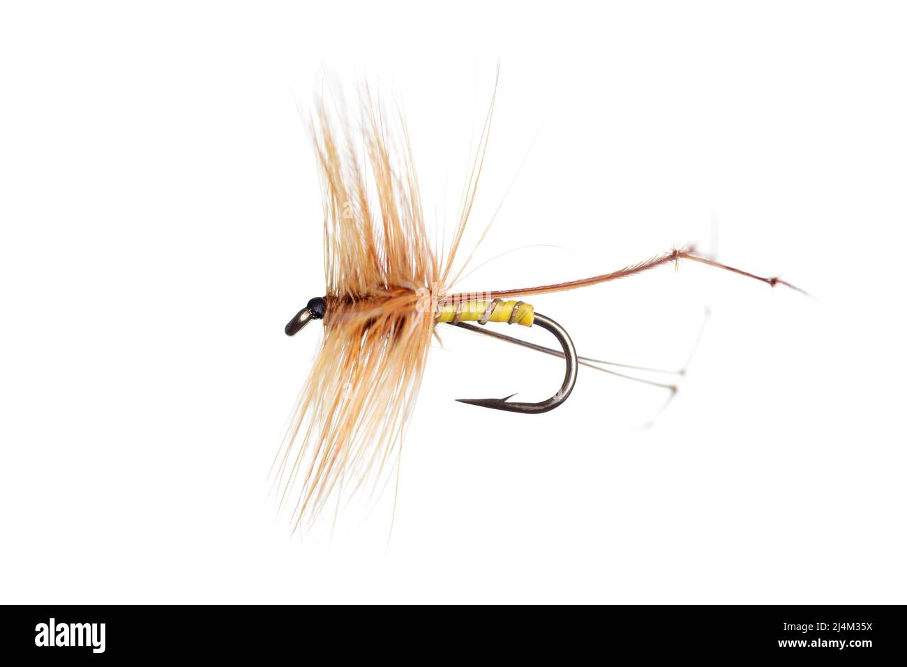 Pêche mouche isolée sur fond blanc Banque D'Images