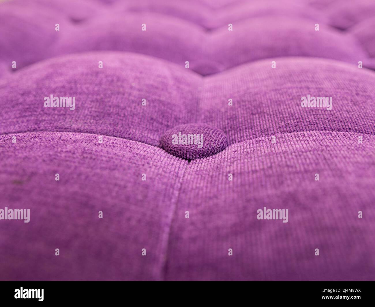 tissus d'ameublement en velours de couleur violet, tons boutonnés, motif mural. Arrière-plan élégant et matelassé vintage pour le canapé. Intérieur Banque D'Images