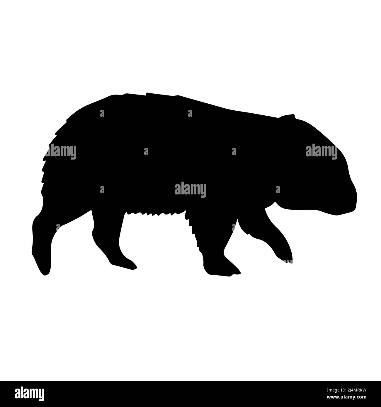 Silhouette de wombat vector dessinée à la main isolée sur fond blanc Illustration de Vecteur