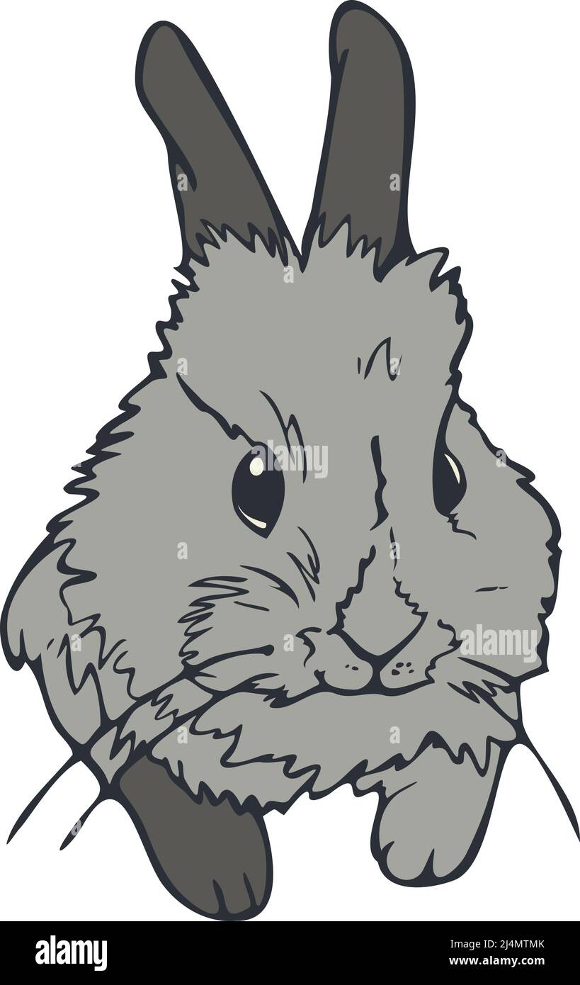 Illustration vectorielle d'un joli lapin. Portrait de lapin coloré et représenté par une ligne. Illustration de Vecteur