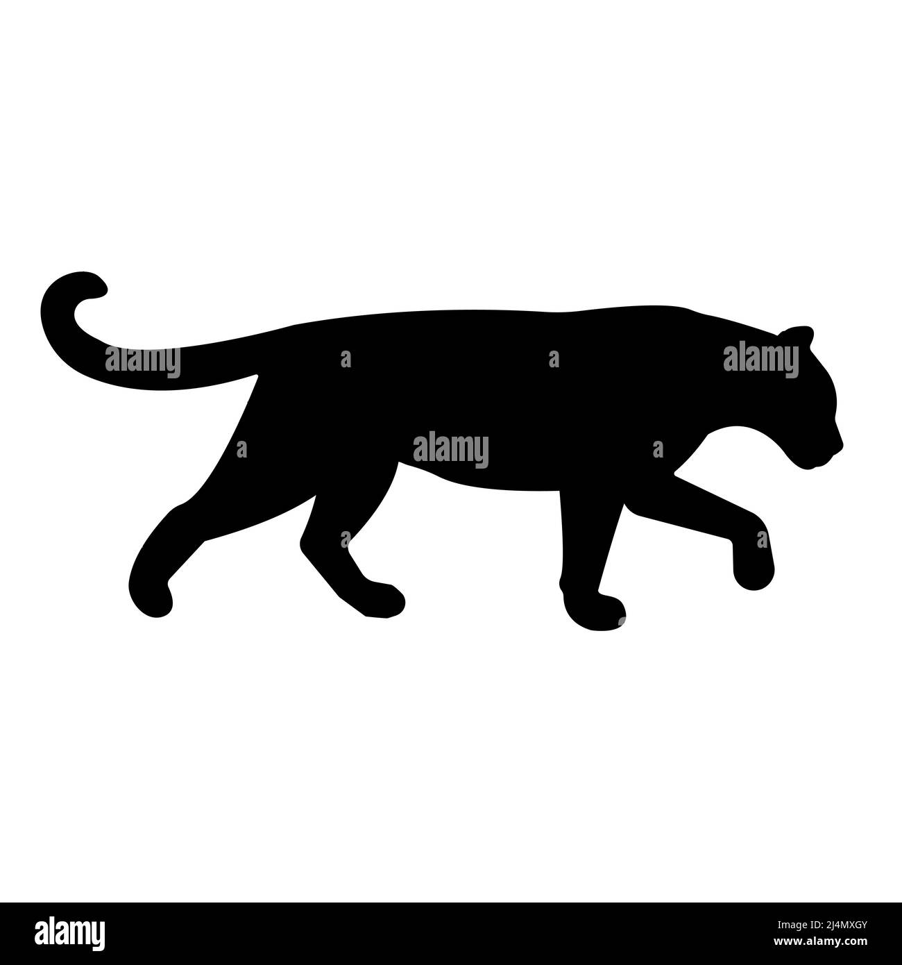 Silhouette de léopard vectorielle isolée sur fond blanc Illustration de Vecteur