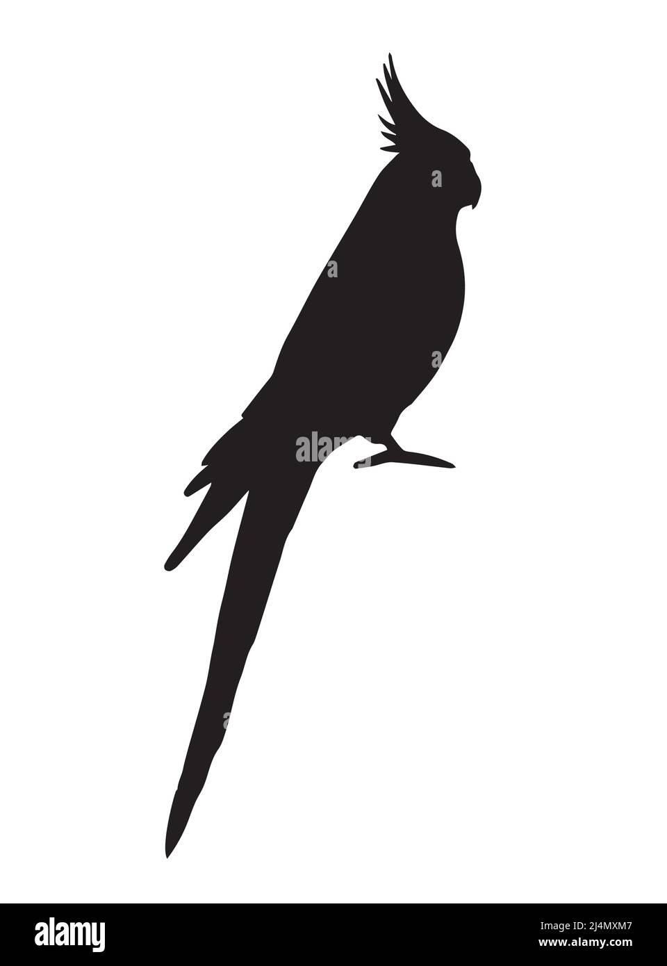 Silhouette de perroquet de la corella cocatière noire vectorielle isolée sur fond blanc Illustration de Vecteur