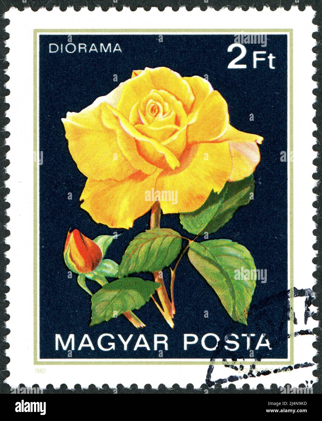 HONGRIE - VERS 1982: Timbre-poste imprimé en Hongrie, avec fleur rose, variété Diorama, vers 1982 Banque D'Images