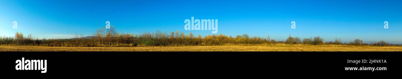 Panorama de l'arbre d'automne sur une grande pelouse. Banque D'Images