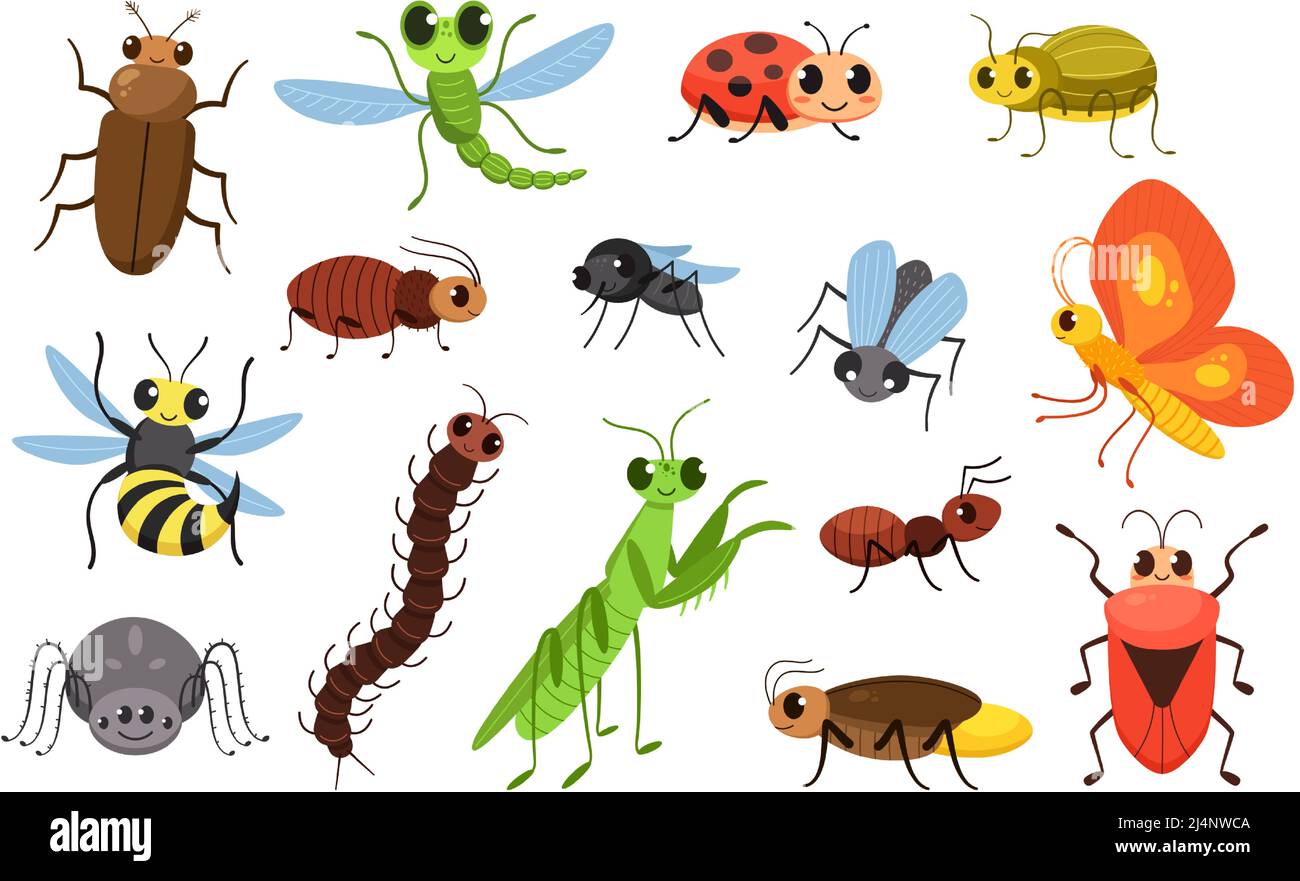 Insectes de dessin animé mignons. Punaises heureuses, mouche souriante et petit mantis vecteur Illustration ensemble Illustration de Vecteur