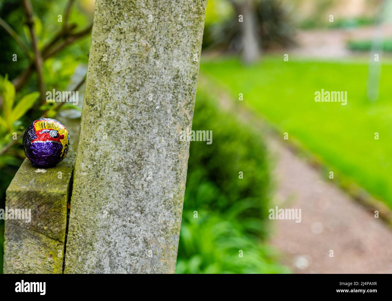 Chocolat oeuf de Pâques caché sur poste en bois dans le jardin pour la chasse aux oeufs de Pâques, heure de Pâques, Royaume-Uni Banque D'Images