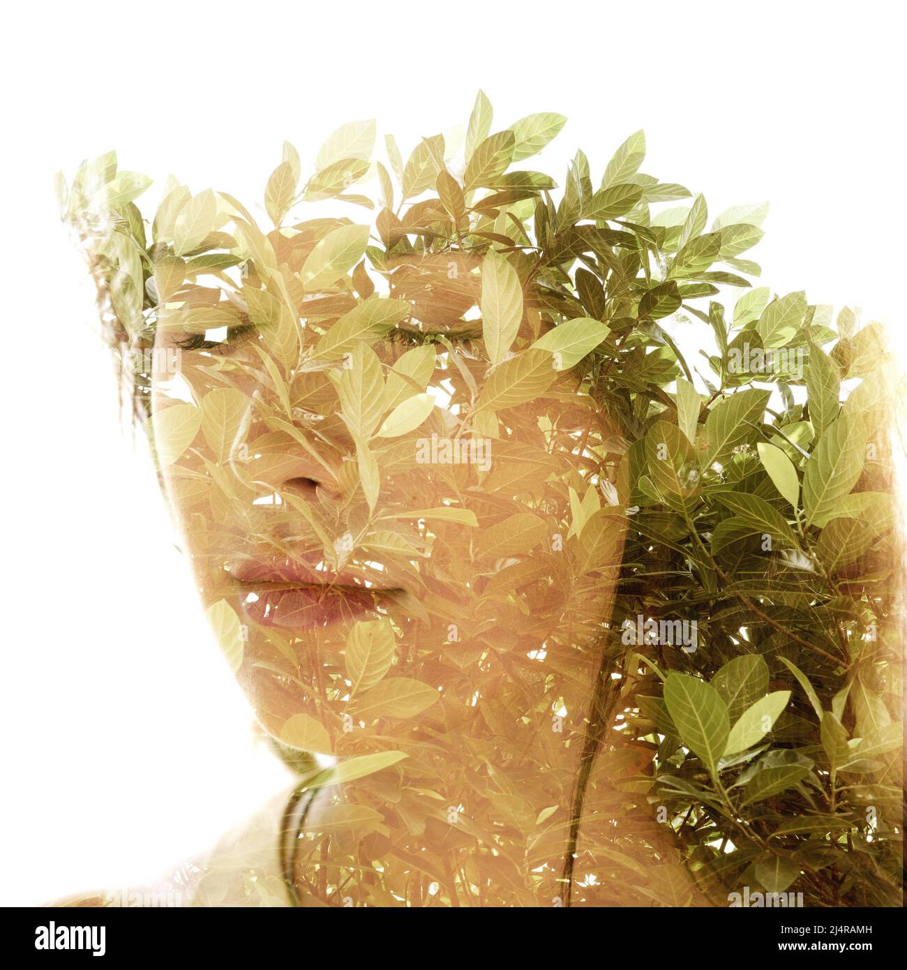 Image d'un arbre combinée au portrait d'une jeune femme Banque D'Images