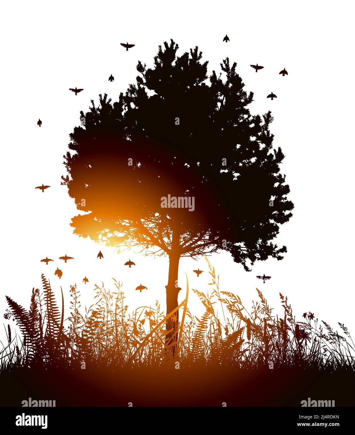 Pins dans l'herbe au coucher du soleil. Illustration vectorielle Illustration de Vecteur