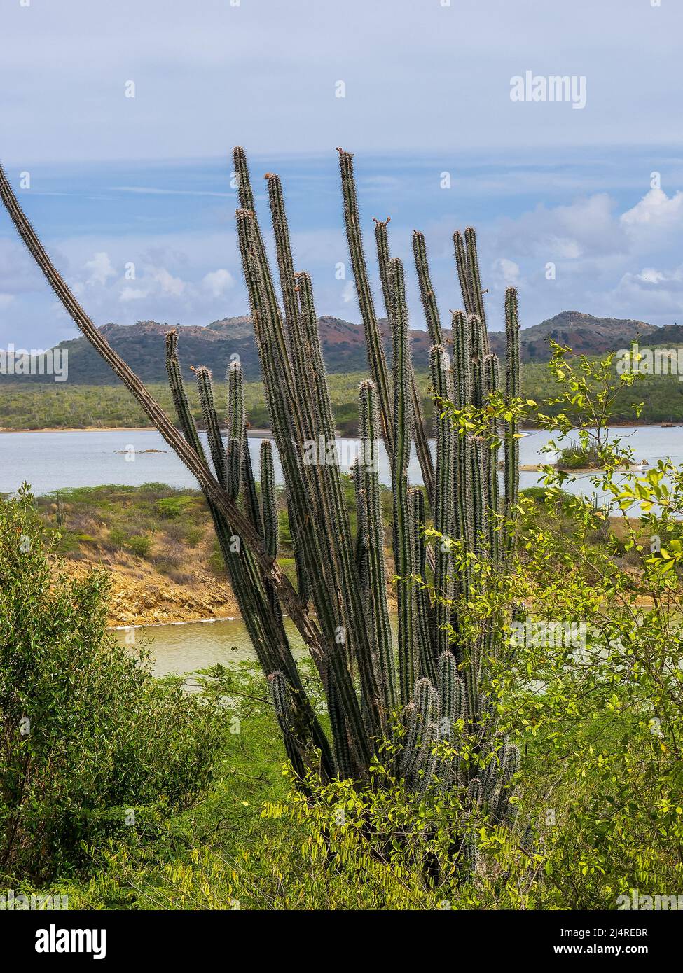 Parc national de Washington Slagbaai - vues sur l'île des Caraïbes de Bonaire Banque D'Images