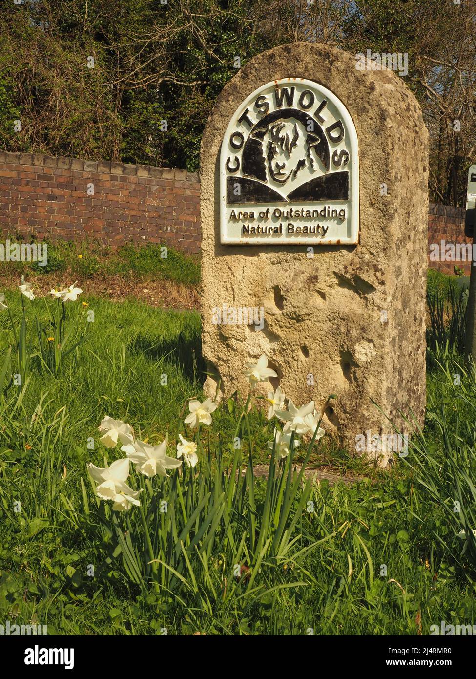 Pierre représentant un mouton, marquant l'entrée dans la région des Cotswolds d'une beauté naturelle exceptionnelle (AONB), nr. Combe Hay, Somerset, Angleterre, narcissi. Banque D'Images