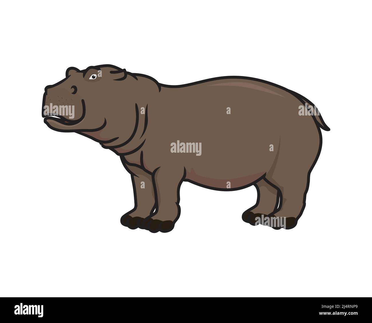 Illustration détaillée de l'hippopotame avec vecteur de mouvement debout Illustration de Vecteur