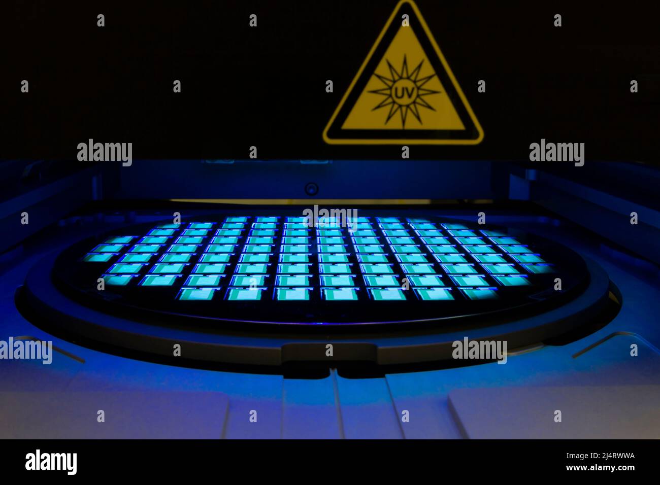 Galette de silicium avec éclats de lumière au néon. Semi-conducteur. Banque D'Images