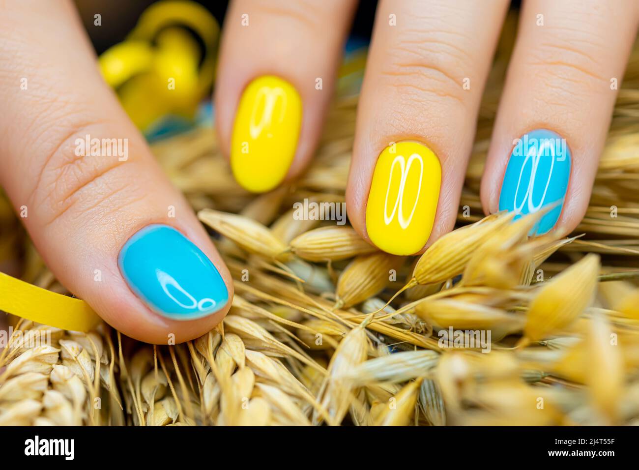 Un gros cliché d'une manucure à ongles bleu-jaune sur le fond des oreilles  de vernis à gel de manucure de blé fait dans le style ukrainien Photo Stock  - Alamy