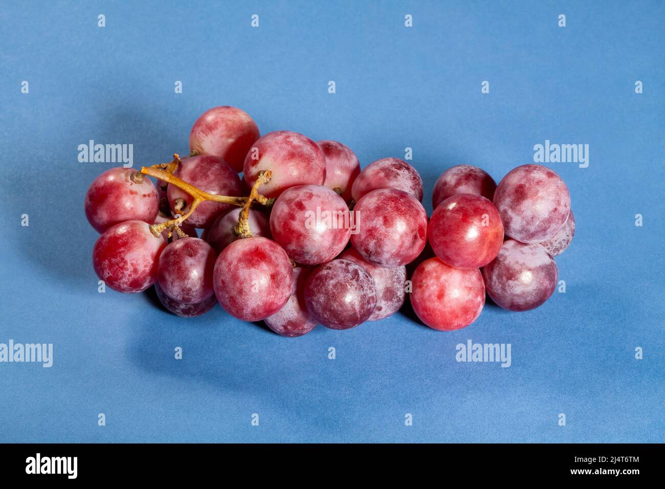 Grappe de raisin rouge raisin rouge Banque de photographies et d’images