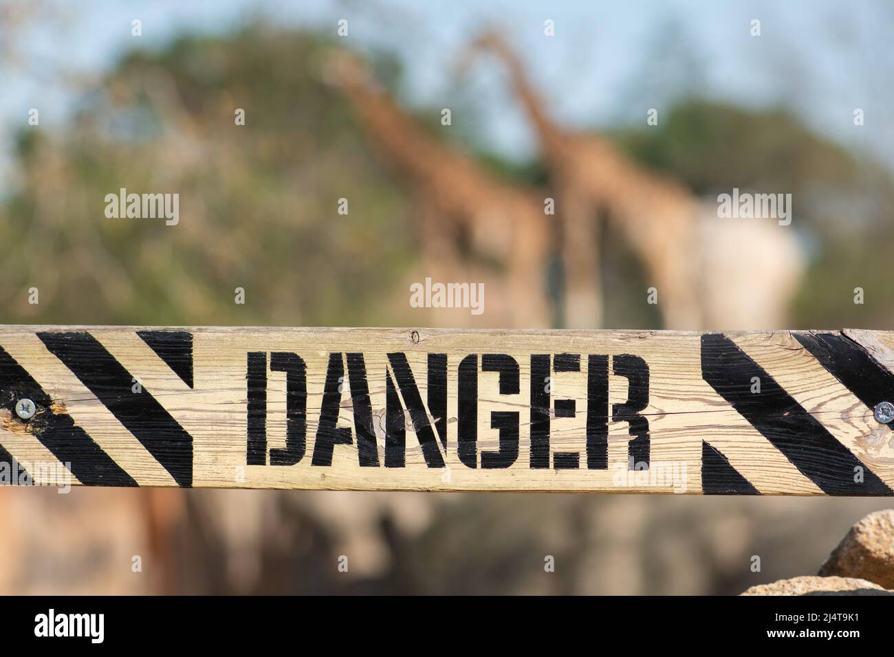 Mot danger écrit sur une planche en bois dans un zoo ou un parc national avec des animaux flous sur fond Banque D'Images