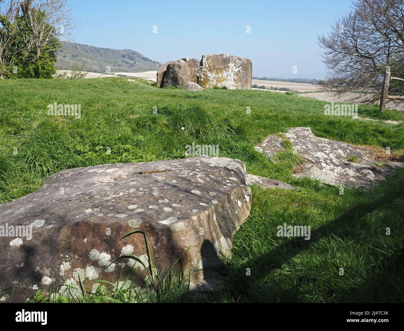 La grande-Barrow de Coldrum, ou pierres de Coldrum ou pierres d'Adscombe, est une longue-barrow néolithique avec chambre funéraire, près de Trottiscliff dans le Kent, en Angleterre Banque D'Images La grande-Barrow de Coldrum, ou pierres de Coldrum ou pierres d'Adscombe, est une longue-barrow néolithique avec chambre funéraire, près de Trottiscliff dans le Kent, en Angleterre Banque D'Images