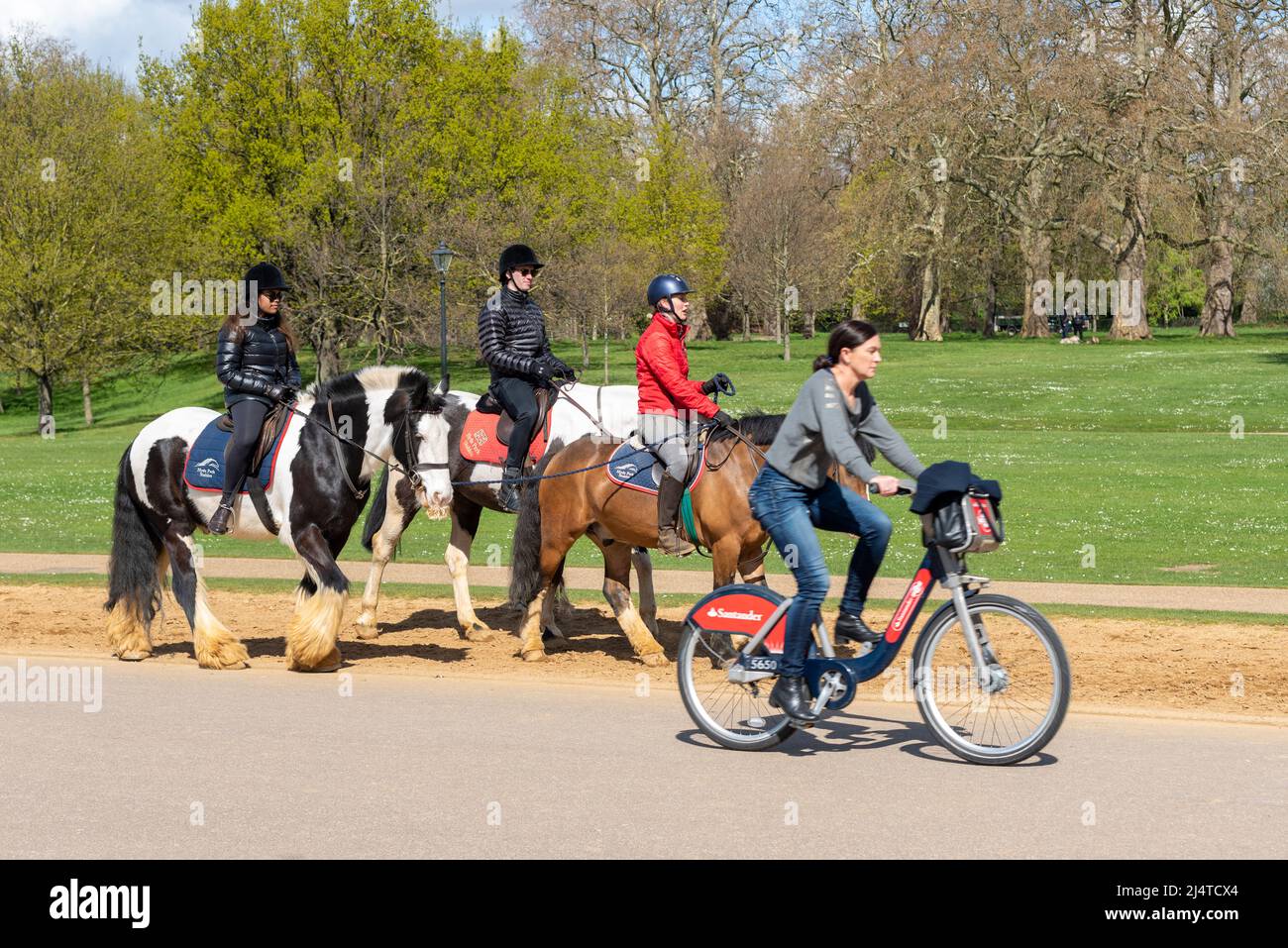 École d'équitation dans le parc de Londres le jour ensoleillé du printemps. Des cavaliers escortés sur la chaussée, étant passé par le cycliste sur le programme de location de vélo Banque D'Images