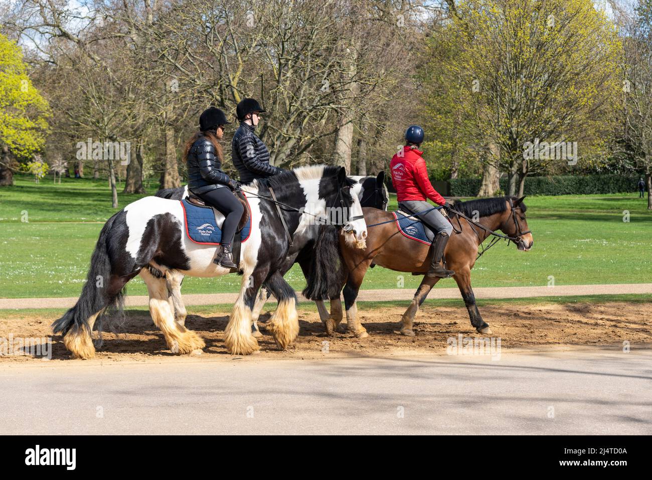 École d'équitation dans le parc de Londres lors d'une journée ensoleillée de printemps. Des cavaliers escortés sur la chaussée Banque D'Images