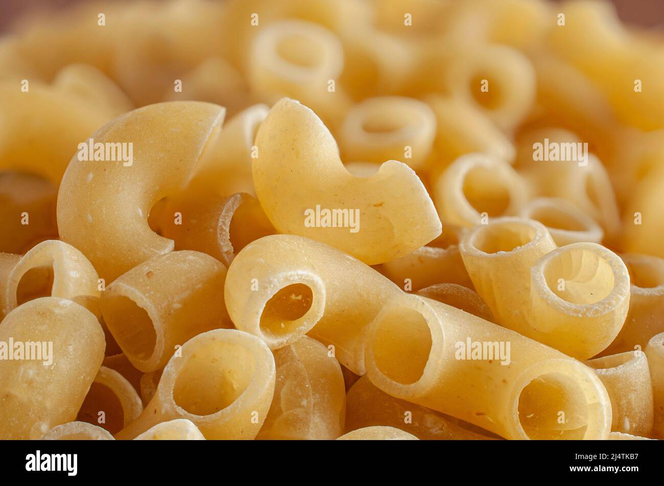 Macrophotographie de Elbow Pasta brute ou non cuite Banque D'Images