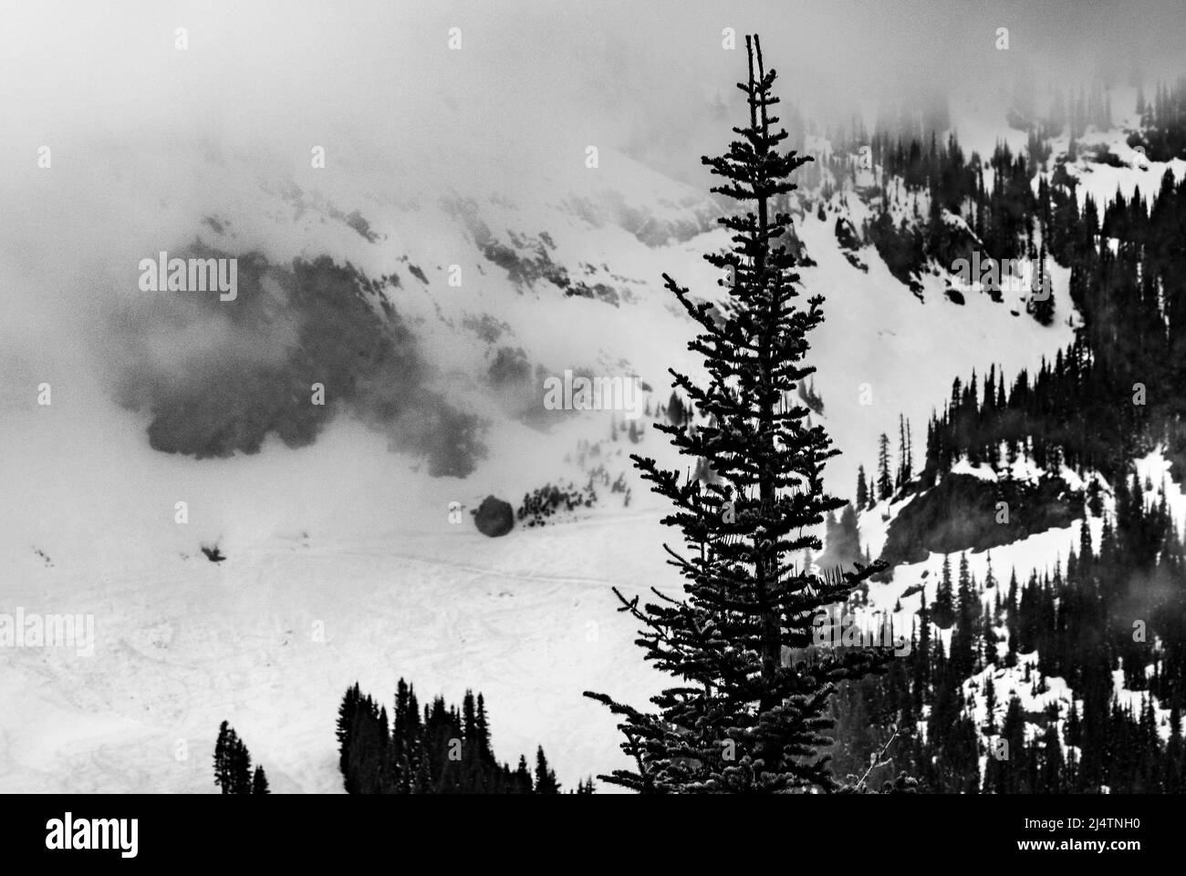 Scène de neige dans les montagnes Cascade du Nord-Ouest du Pacifique Banque D'Images