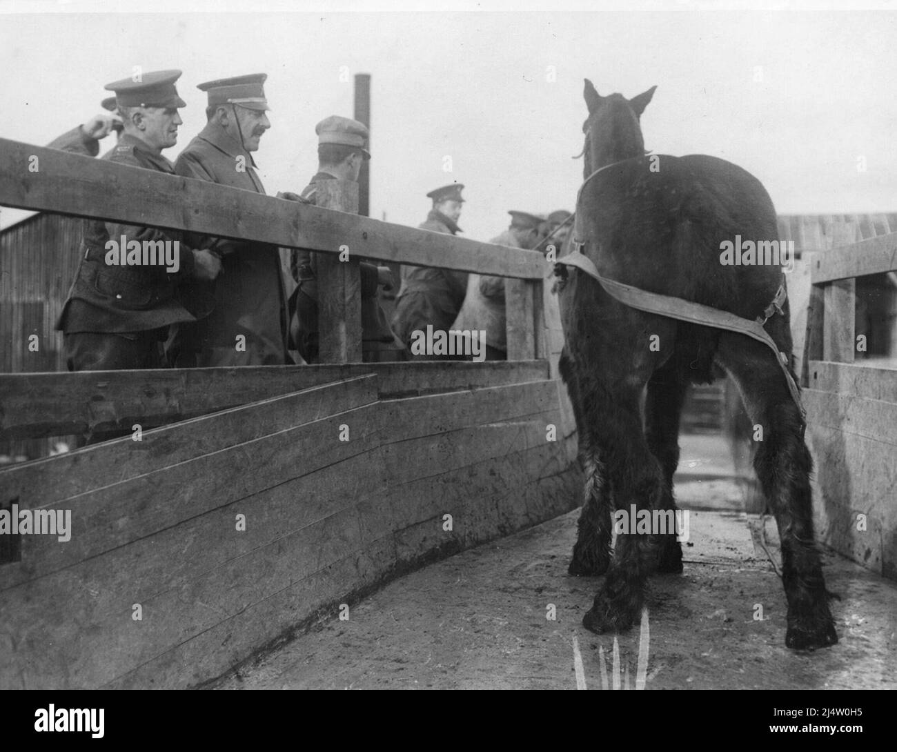 Le général espagnol Aranaz, en visite sur le front occidental en 1917, regardant un cheval sur le point d'être baigné Banque D'Images