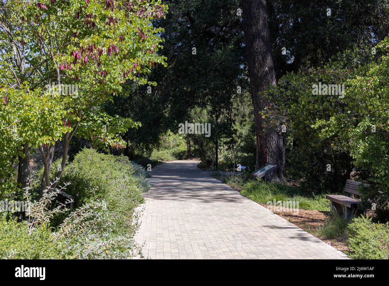 Arboretum UC Davis Banque D'Images