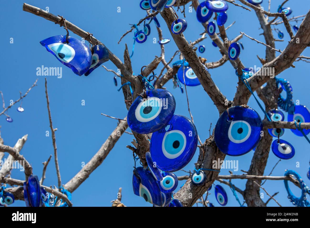 Les Nazars pendent d'un arbre à Pigeon Valley à Uchisar en Turquie. Un nazar est un amulet en forme d'oeil que l'on croit protéger contre l'oeil mauvais. Banque D'Images