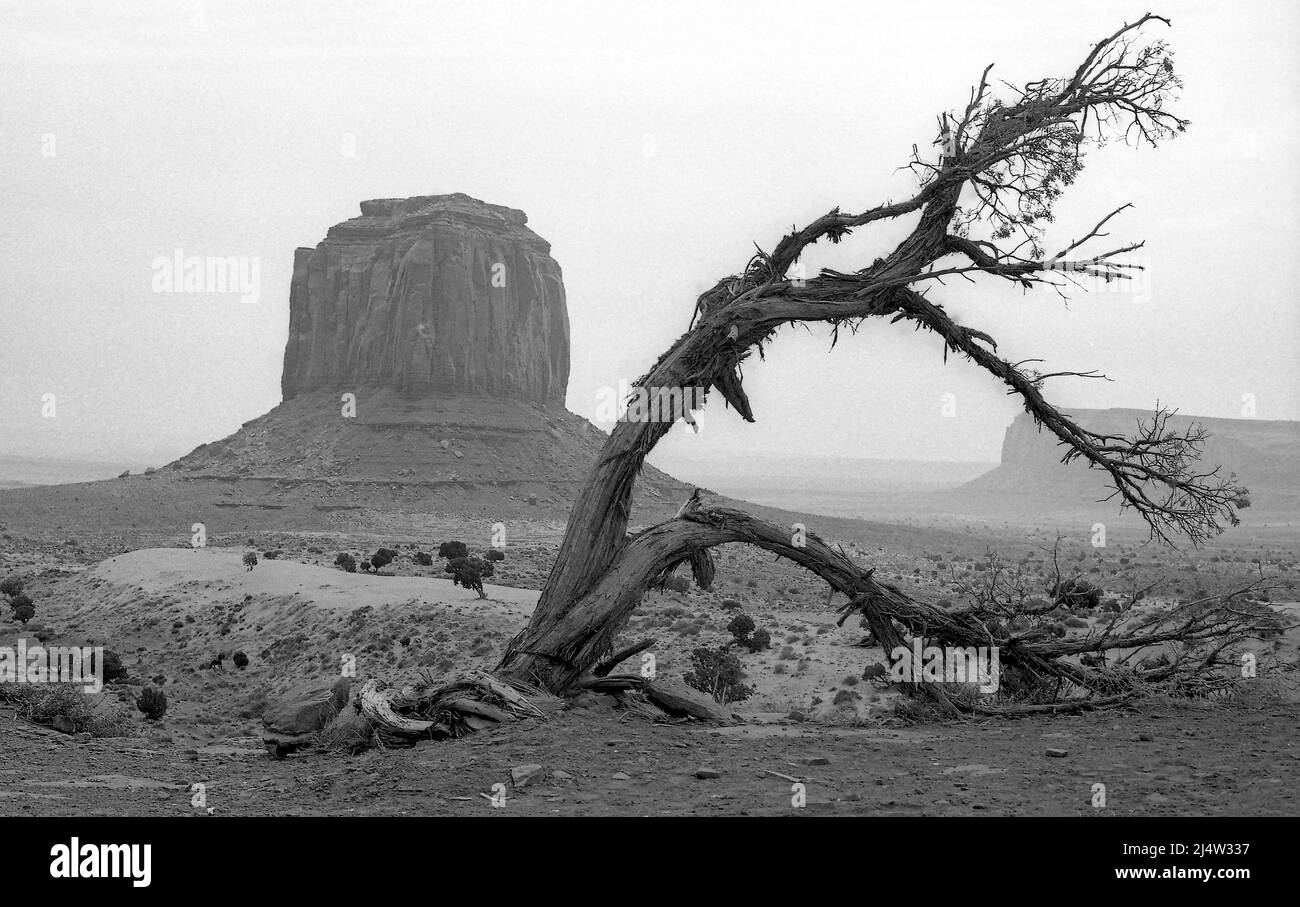 Paysage noir et blanc, Monuent Valley, Utah Banque D'Images