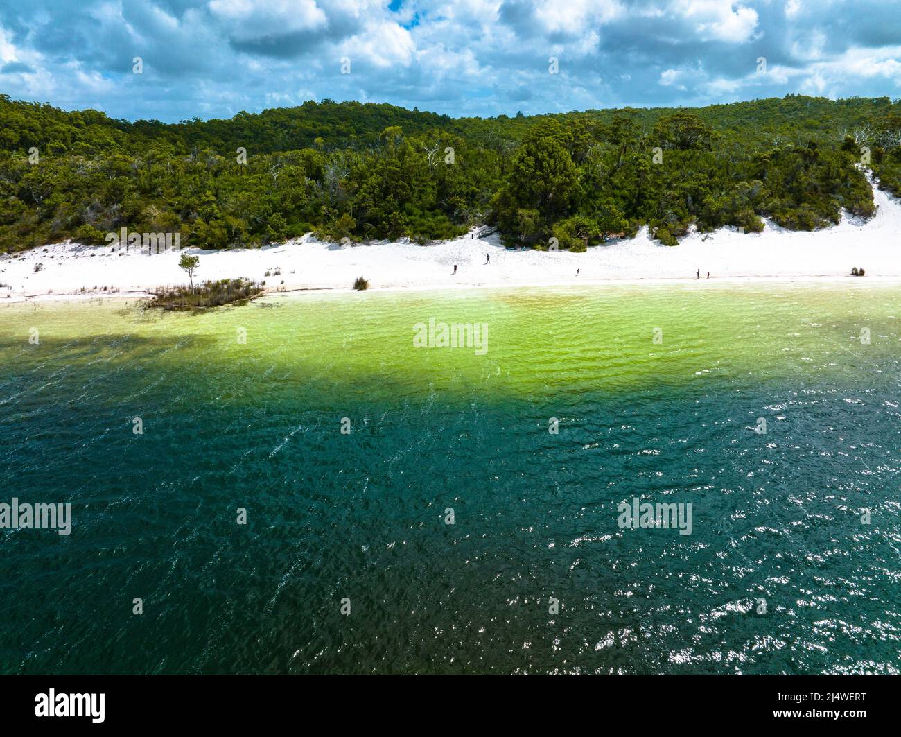 Le lac Birabeen offre aux touristes de l'eau cristalline et du sable blanc doux sur Fraser Island, Queensland, Australie Banque D'Images