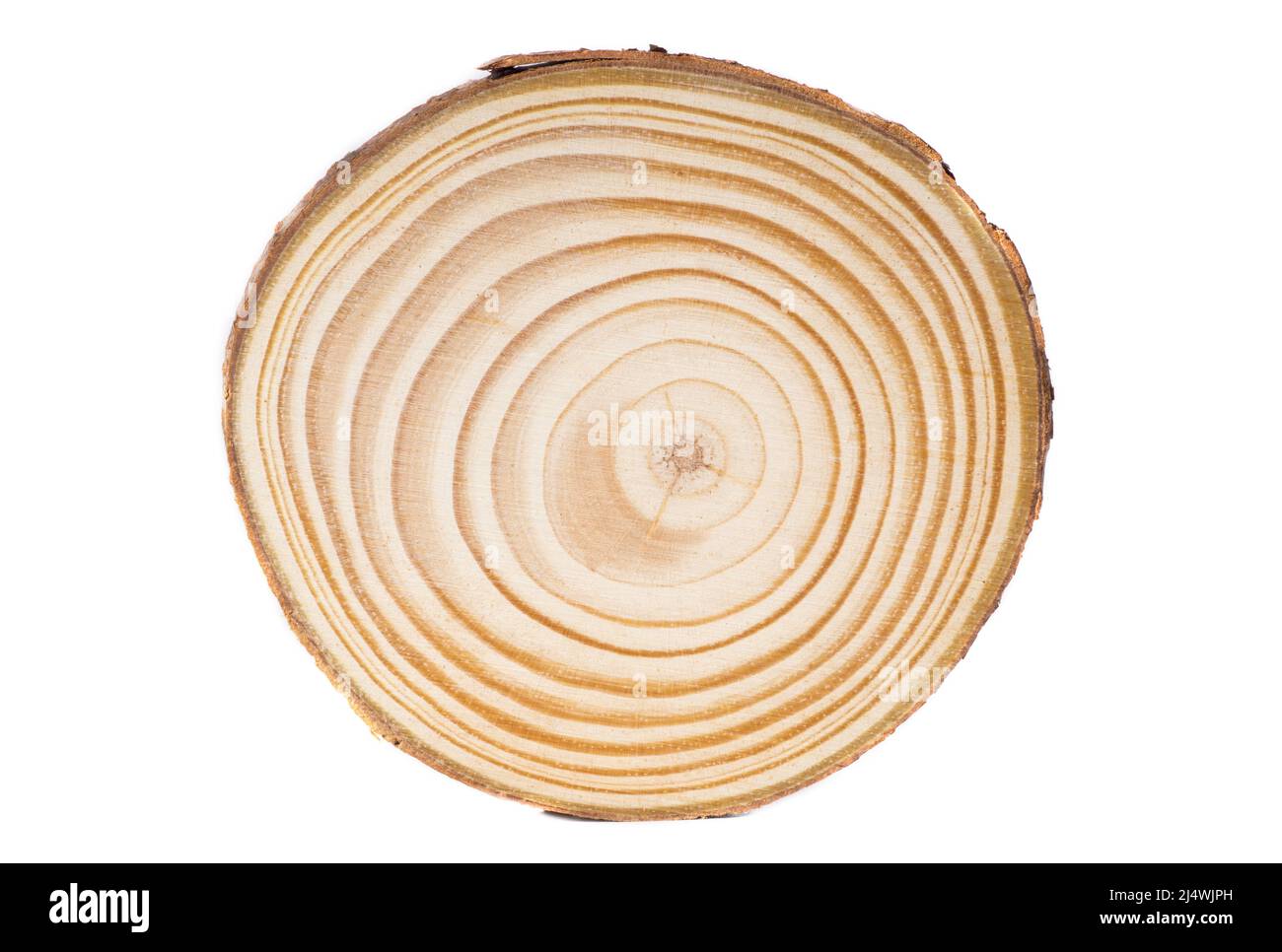 Gros plan en bois rond, isolé sur fond blanc. Banque D'Images