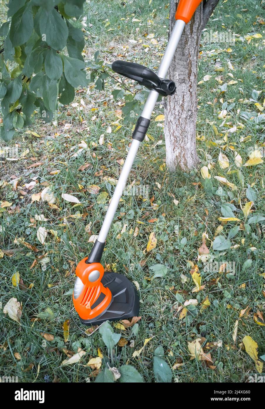 Appareils électroménagers : tondeuse-tondeuse pour couper des pelouses sur des batteries rechargeables.Présenté sur un fond d'herbe et de feuilles, vue avant, Banque D'Images