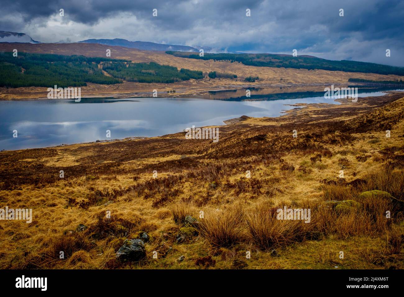 Paysage au Loch Loyne, hauts plateaux d'Écosse Banque D'Images