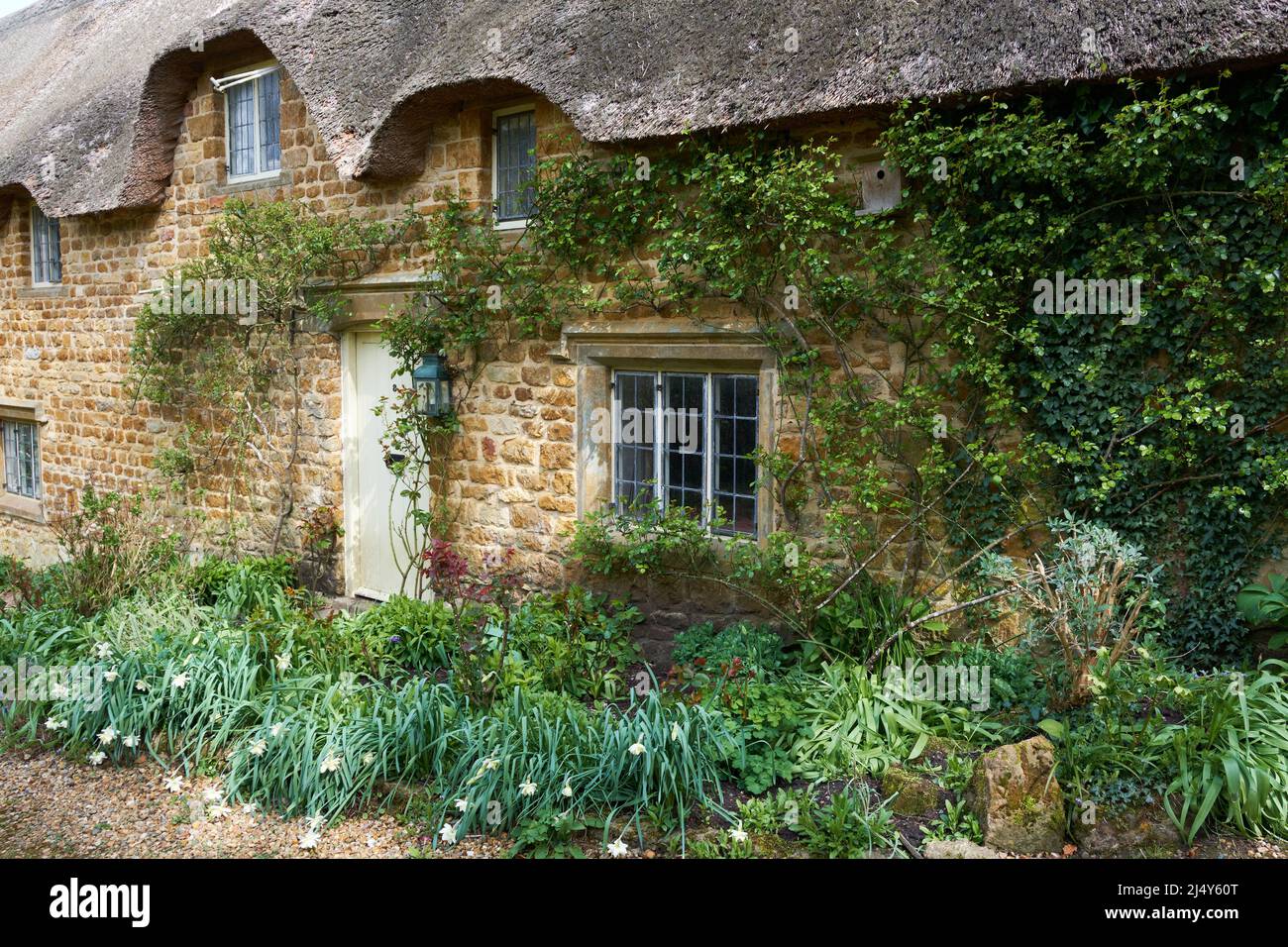 Cottage et jardin Great TEW Oxfordshire Banque D'Images