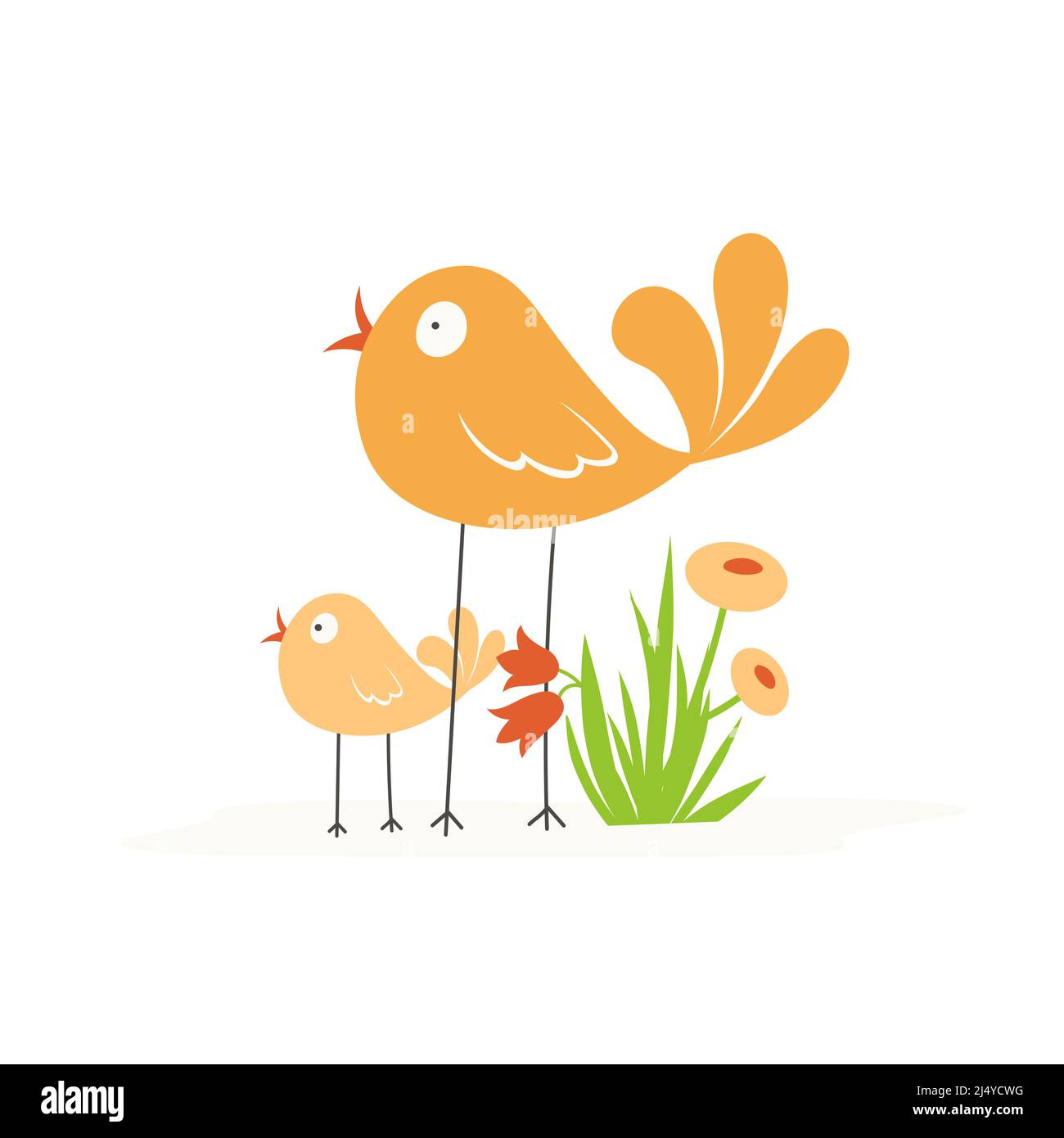 Oiseau de dessin animé avec un poussin et un buisson d'herbe avec des fleurs sur un fond blanc. Illustration vectorielle. Illustration de Vecteur