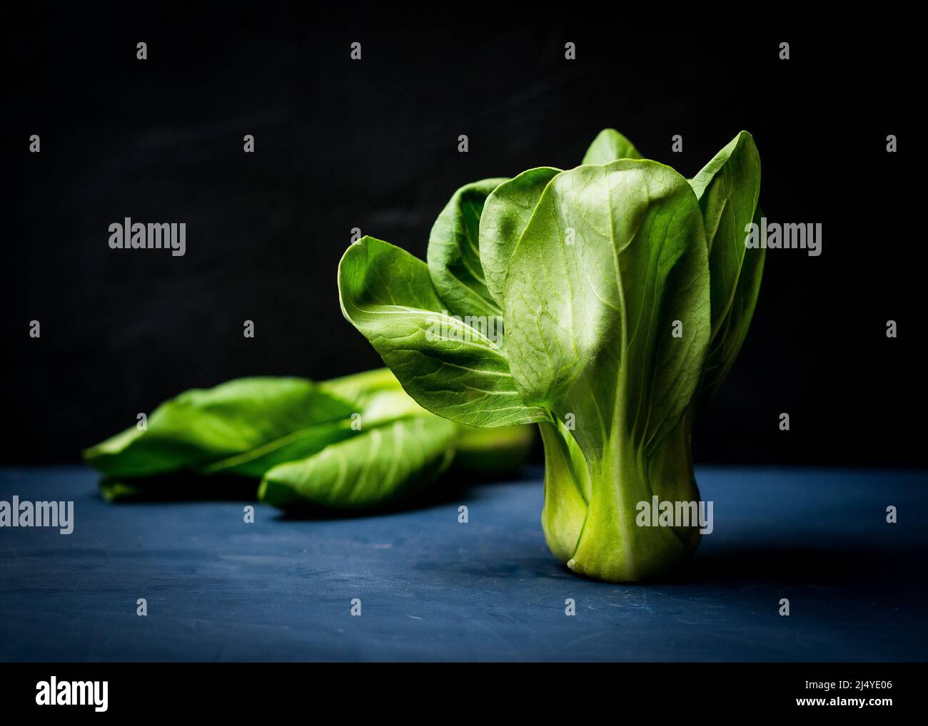 Baby Bok Choy sur fond sombre Banque D'Images