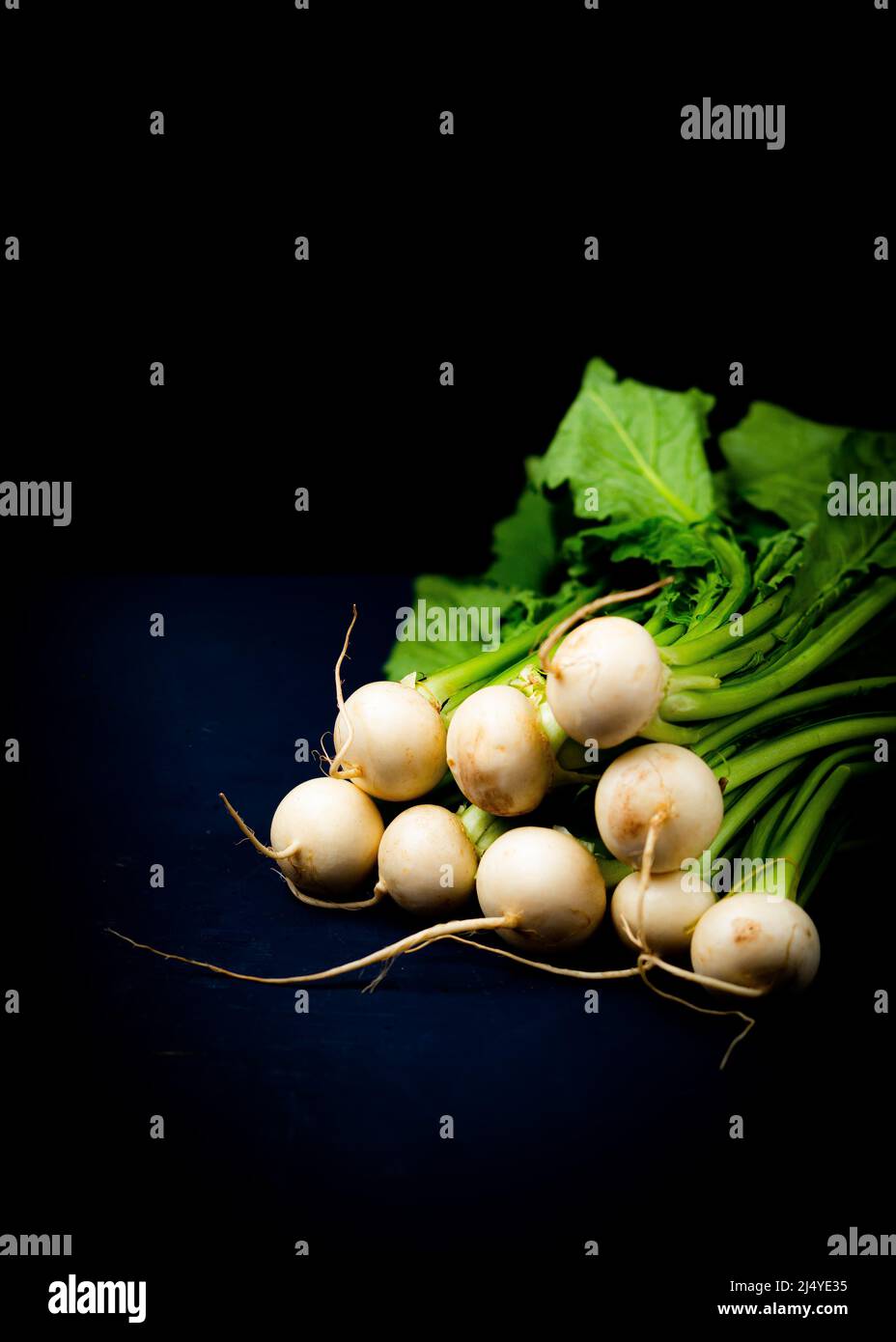 Radis blancs sur une surface sombre Banque D'Images