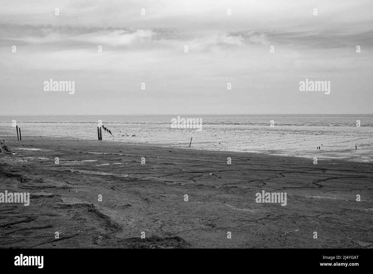 Des méplats de boue à marée basse lors d'un jour de printemps couvert le long de la baie du Delaware, rendus en noir et blanc. Banque D'Images