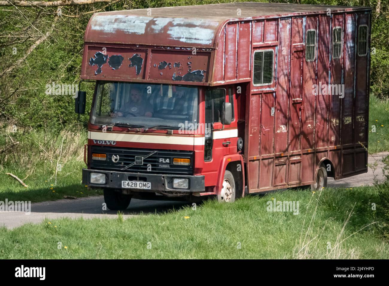 grand car rouge foncé travail cheval transport camion en mouvement à travers la campagne ouverte Banque D'Images