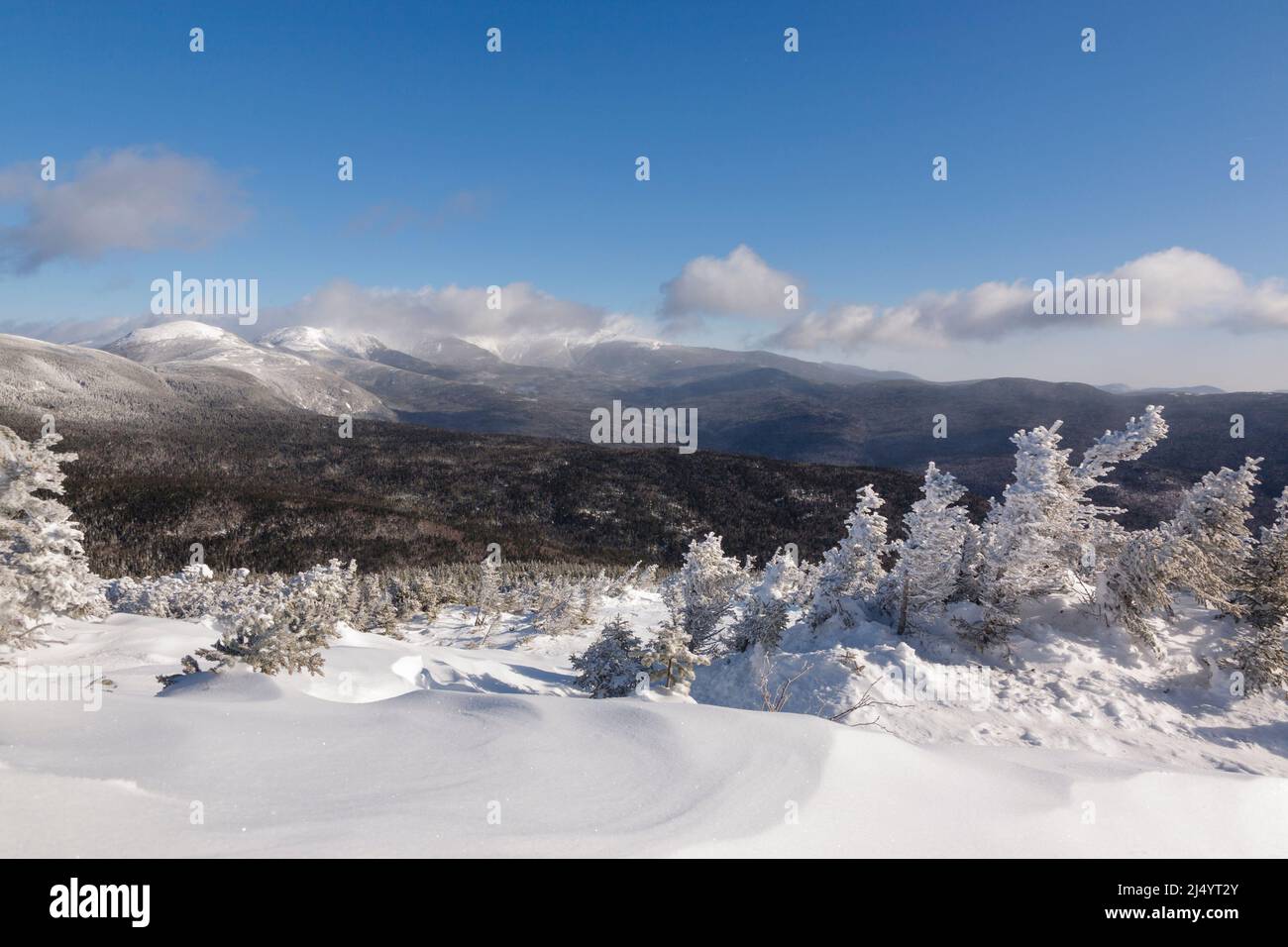 La Presidential Range a englouti à l'aube, à l'aube, une couverture nuageuse depuis le sommet de Mount Jackson dans Bean’s Grant dans les White Mountains du New Hampshire Banque D'Images