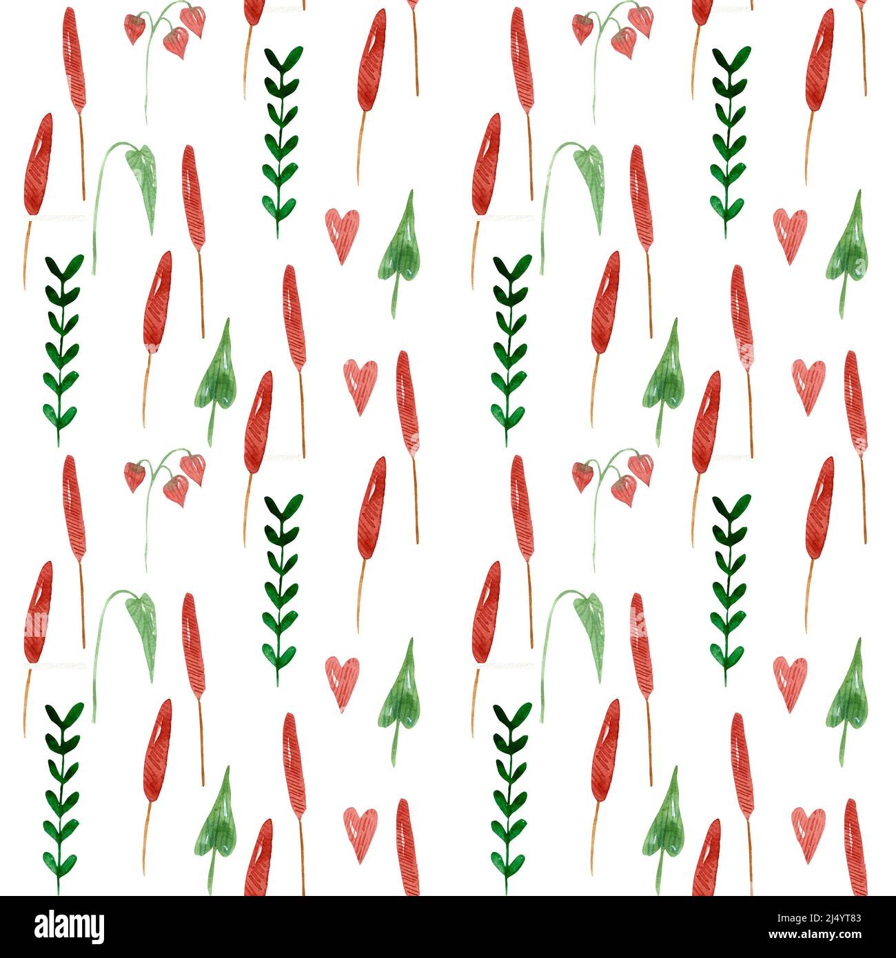 Motif plantes d'été et herbes sans couture. Toile de fond dessinée à la main sans fin pour le tissu, décor textile Banque D'Images