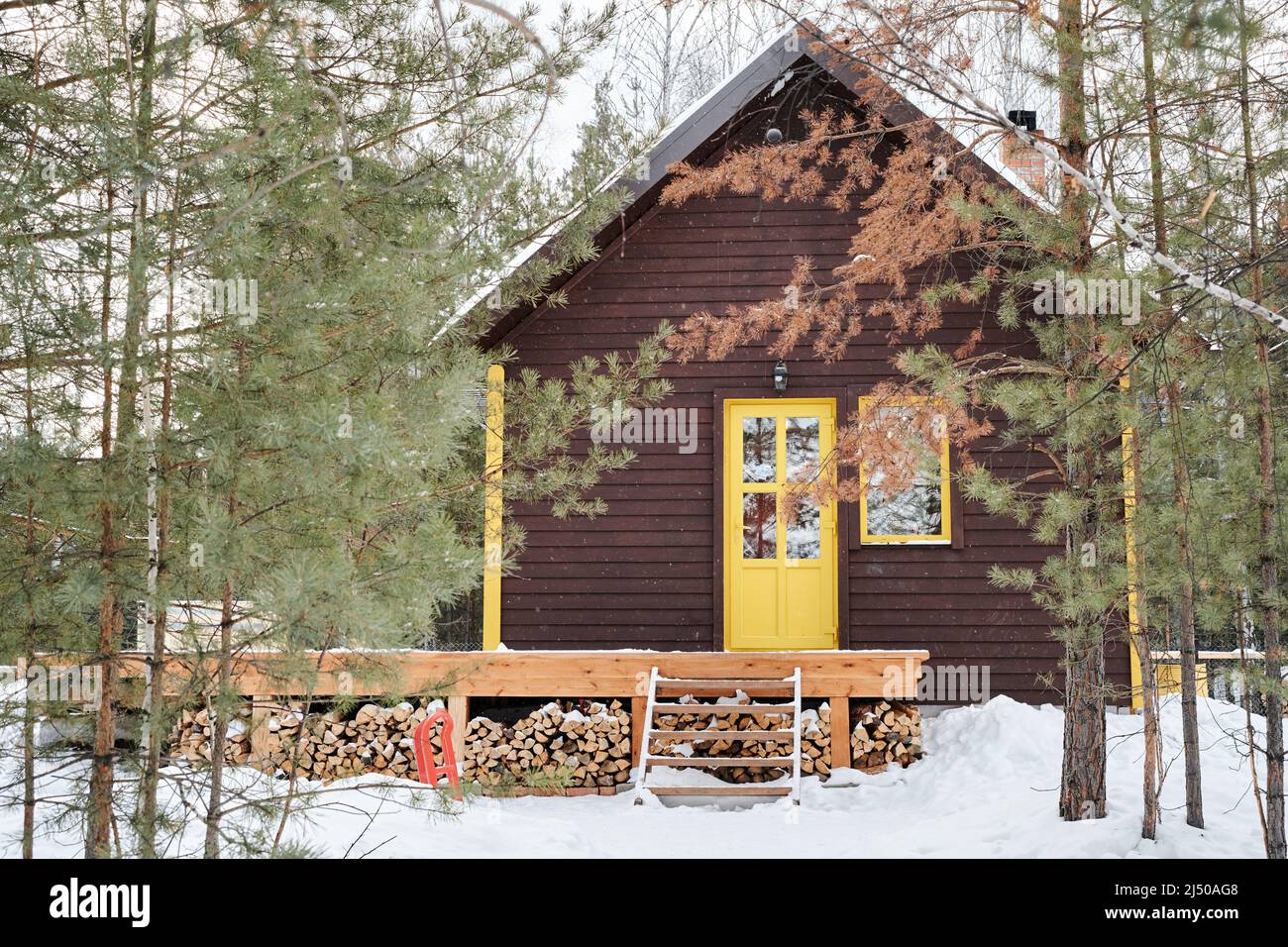 Maison de campagne en bois brun avec porte jaune et petite fenêtre entourée de conifères debout dans la forêt Banque D'Images