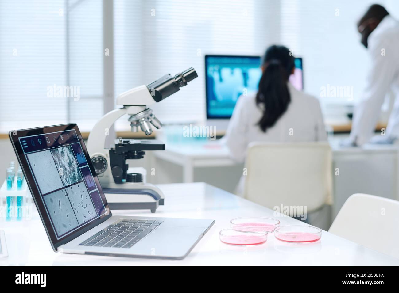 Ordinateur portable avec image scientifique de cellules virales agrandies ou de bactéries à l'écran debout sur le lieu de travail du scientifique contre deux travailleurs de laboratoire Banque D'Images