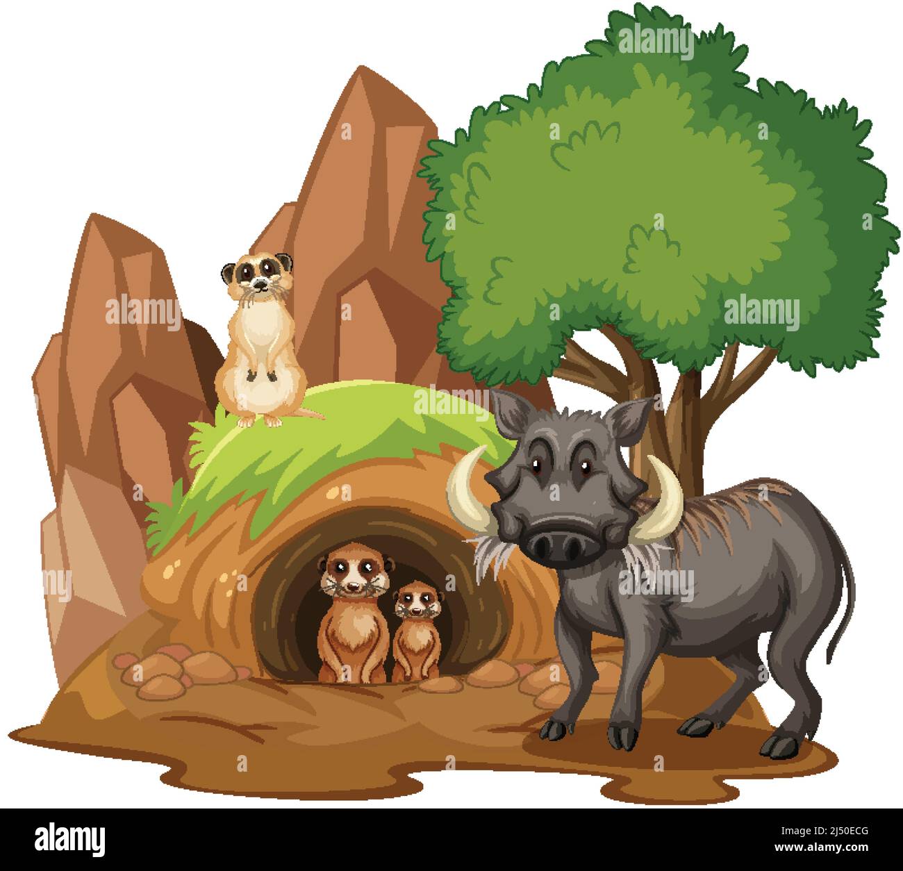 Boar et meerkats avec fraise sur fond blanc illustration Illustration de Vecteur
