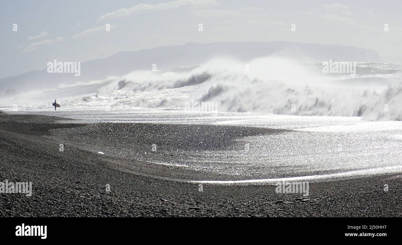 Un surfeur solitaire qui attend le bon moment pour entrer, avec des vagues sauvages s'écrasant sur la Marine Parade Napier Banque D'Images