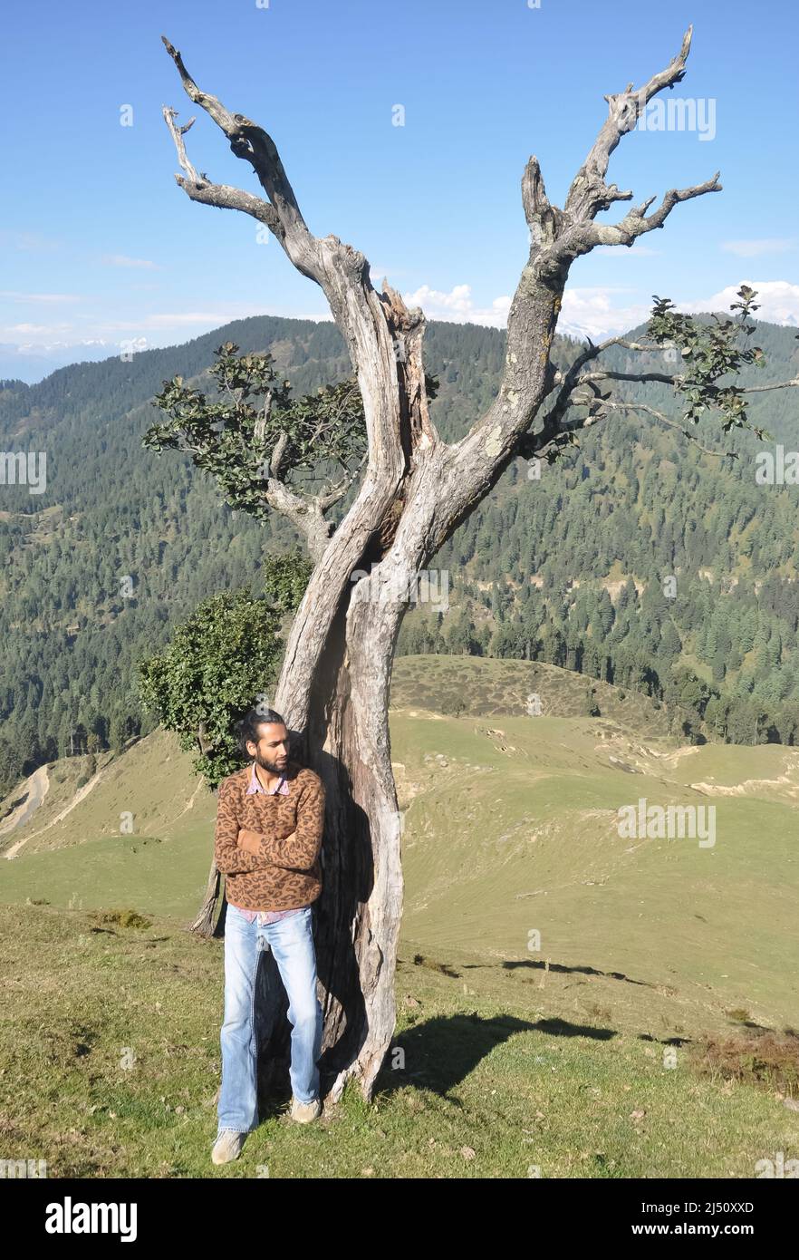 Pleine longueur d'un charmant jeune homme sud-asiatique regardant latéralement posant avec les bras croisés tout en se penchant contre l'arbre dans la région vallonnée Banque D'Images