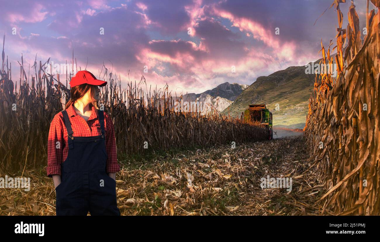 Jeune fille paysanne dans le champ de maïs.Les machines agricoles en arrière-plan Banque D'Images